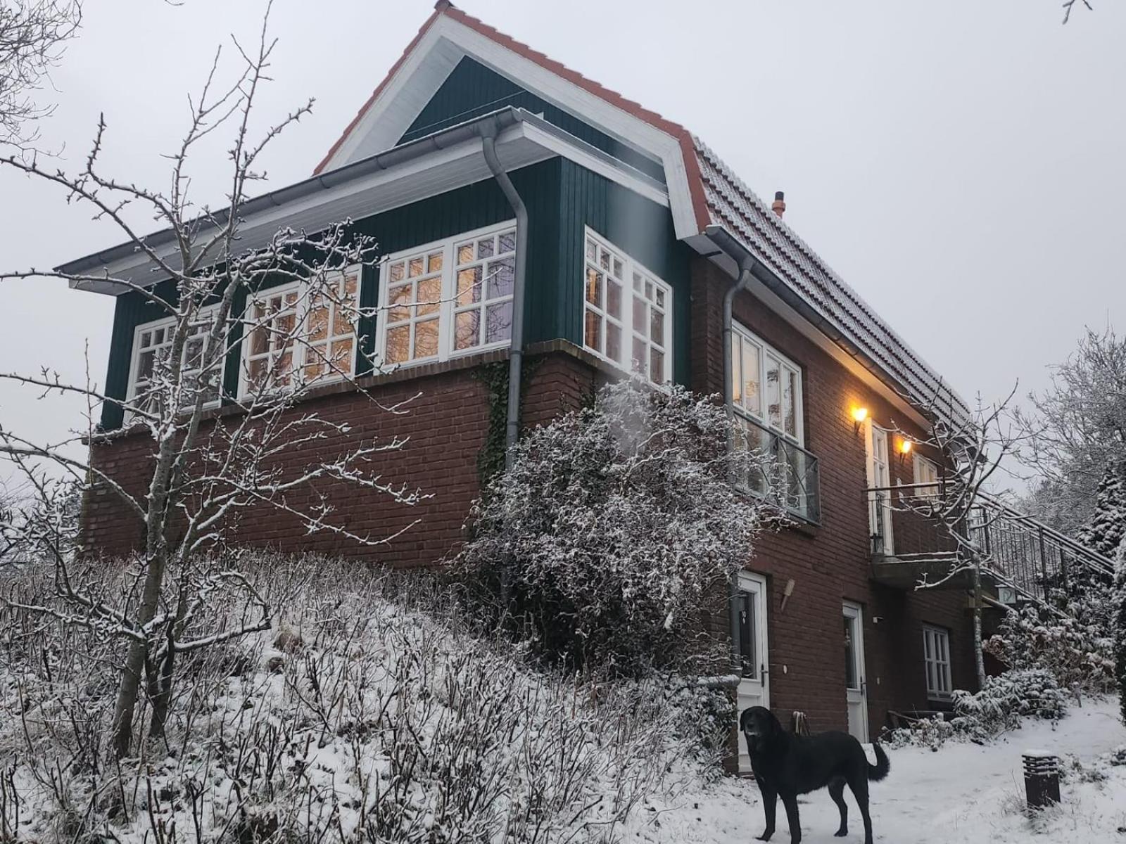 Haus Seeschwalbe Daire Spiekeroog Dış mekan fotoğraf