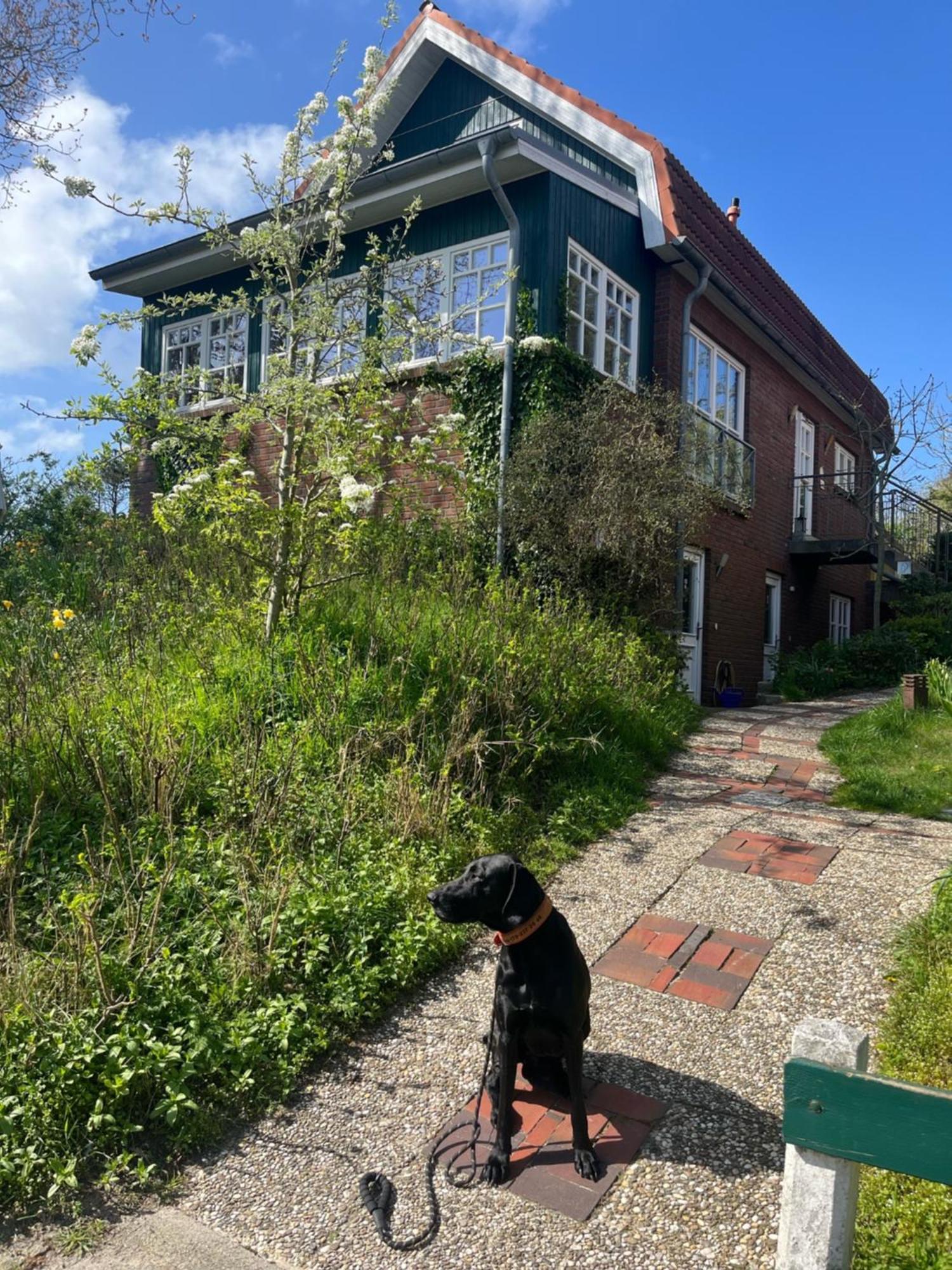 Haus Seeschwalbe Daire Spiekeroog Dış mekan fotoğraf