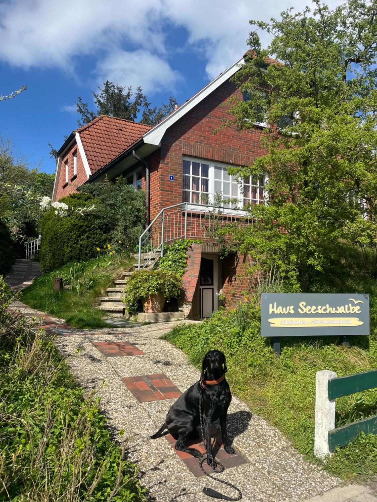 Haus Seeschwalbe Daire Spiekeroog Dış mekan fotoğraf